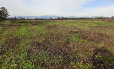 CAMPO AGRÍCOLA EN VENTA EN LINARES