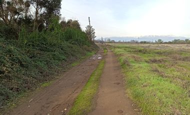 CAMPO AGRÍCOLA EN VENTA EN LINARES