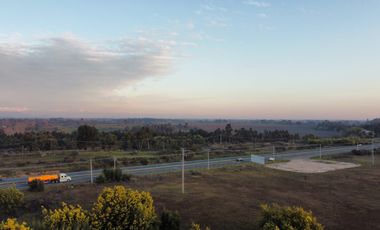 GRAN TERRENO 23,50 HA COSTADO RUTA 5 SUR