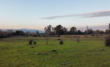 GRAN TERRENO 23,50 HA COSTADO RUTA 5 SUR