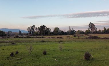 GRAN TERRENO 23,50 HA COSTADO RUTA 5 SUR