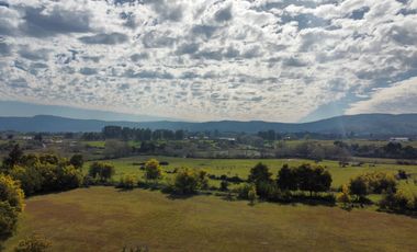 GRAN TERRENO 23,50 HA COSTADO RUTA 5 SUR