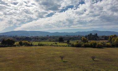 GRAN TERRENO 23,50 HA COSTADO RUTA 5 SUR