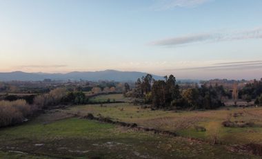 GRAN TERRENO 23,50 HA COSTADO RUTA 5 SUR