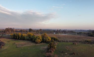 GRAN TERRENO 23,50 HA COSTADO RUTA 5 SUR