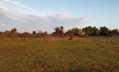 GRAN TERRENO 23,50 HA COSTADO RUTA 5 SUR