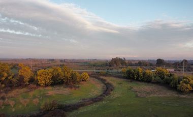 GRAN TERRENO 23,50 HA COSTADO RUTA 5 SUR