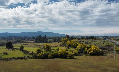 GRAN TERRENO 23,50 HA COSTADO RUTA 5 SUR