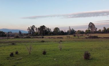 GRAN TERRENO 23,50 HA COSTADO RUTA 5 SUR