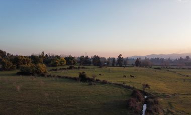 GRAN TERRENO 23,50 HA COSTADO RUTA 5 SUR