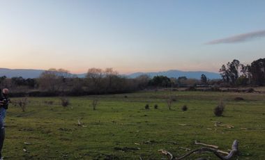 GRAN TERRENO 23,50 HA COSTADO RUTA 5 SUR