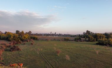 GRAN TERRENO 23,50 HA COSTADO RUTA 5 SUR
