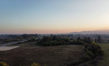 GRAN TERRENO 23,50 HA COSTADO RUTA 5 SUR