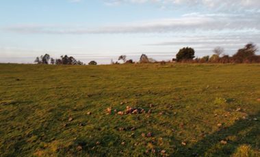 GRAN TERRENO 23,50 HA COSTADO RUTA 5 SUR