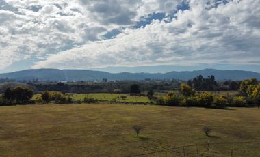 GRAN TERRENO 23,50 HA COSTADO RUTA 5 SUR
