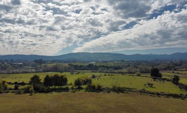 GRAN TERRENO 23,50 HA COSTADO RUTA 5 SUR