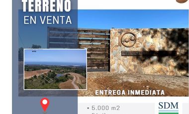 VENTA TERRENO - SITIO 5000MTS COBQUECURA ÑUBLE