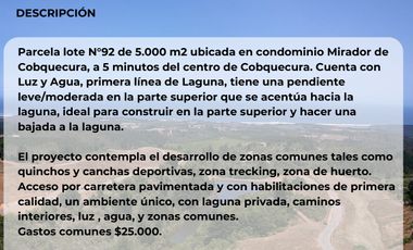 VENTA TERRENO - SITIO 5000MTS COBQUECURA ÑUBLE