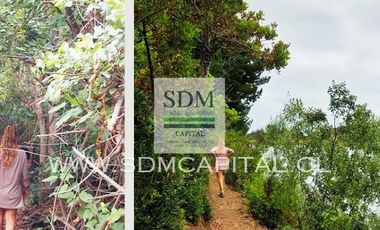 VENTA TERRENO - SITIO 5000MTS COBQUECURA ÑUBLE