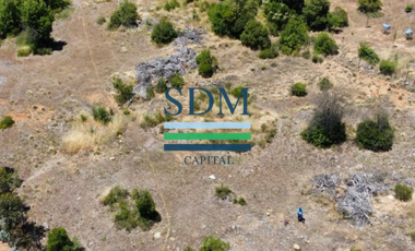 VENTA PARCELA 5000MTS SAN CLEMENTE