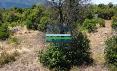 VENTA PARCELA 5000MTS SAN CLEMENTE