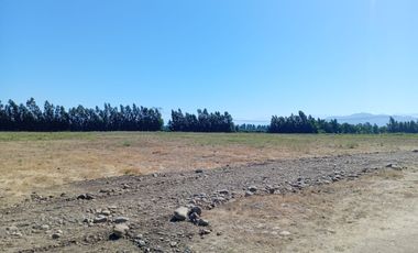 GRAN OPORTUNIDAD 3 PARCELAS DE AGRADO EN EL ABRA REQUINOA