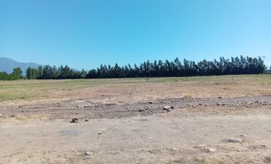 GRAN OPORTUNIDAD 3 PARCELAS DE AGRADO EN EL ABRA REQUINOA