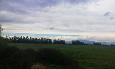 GRAN OPORTUNIDAD 3 PARCELAS DE AGRADO EN EL ABRA REQUINOA