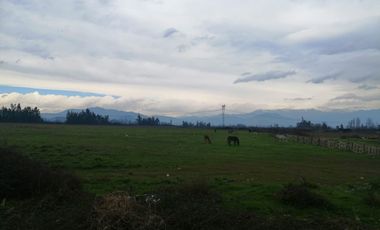 GRAN OPORTUNIDAD 3 PARCELAS DE AGRADO EN EL ABRA REQUINOA