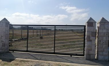 GRAN OPORTUNIDAD 3 PARCELAS DE AGRADO EN EL ABRA REQUINOA