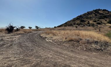 ESPECTACULAS PARCELA PLANA EN CHICUREO
