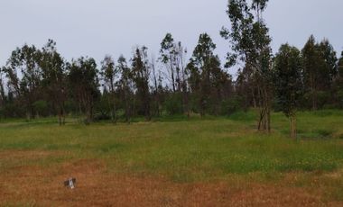 VENDO TERRENO  A MINUTOS DE CHILLAN 5000 M2 CON ROL