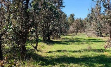 VENDO TERRENO  A MINUTOS DE CHILLAN 5000 M2 CON ROL