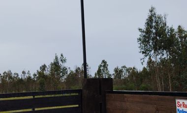 VENDO TERRENO  A MINUTOS DE CHILLAN 5000 M2 CON ROL