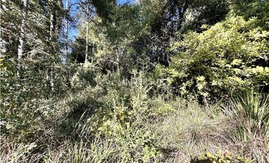 HERMOSO TERRENO EN ARIQUE RUTA VALDIVIA  LOS LAGOS