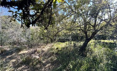 HERMOSO TERRENO EN ARIQUE RUTA VALDIVIA  LOS LAGOS