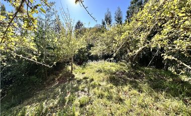 HERMOSO TERRENO EN ARIQUE RUTA VALDIVIA  LOS LAGOS