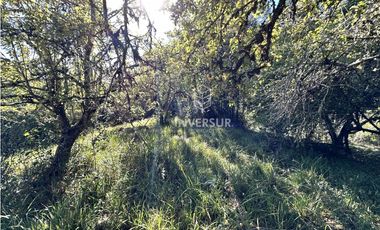 HERMOSO TERRENO EN ARIQUE RUTA VALDIVIA  LOS LAGOS