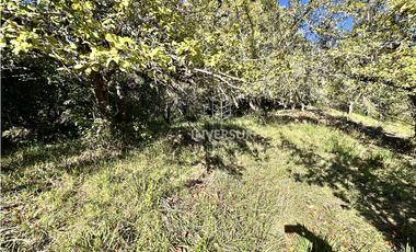 HERMOSO TERRENO EN ARIQUE RUTA VALDIVIA  LOS LAGOS