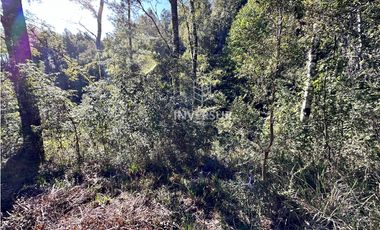 HERMOSO TERRENO EN ARIQUE RUTA VALDIVIA  LOS LAGOS