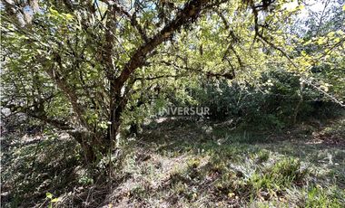 HERMOSO TERRENO EN ARIQUE RUTA VALDIVIA  LOS LAGOS