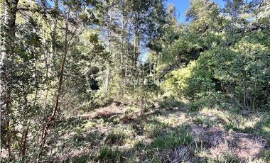 HERMOSO TERRENO EN ARIQUE RUTA VALDIVIA  LOS LAGOS