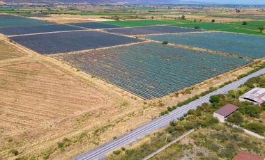 Terreno en Venta en Poncitlan.