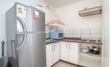 Departamento central en Santiago
