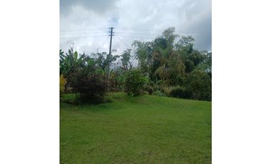 FINCA CAFETERA
