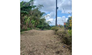 FINCA CAFETERA