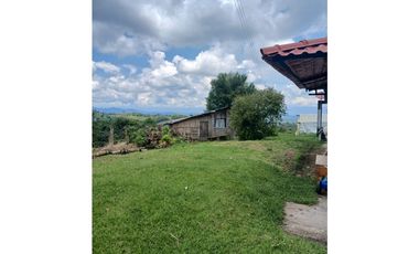 FINCA CAFETERA