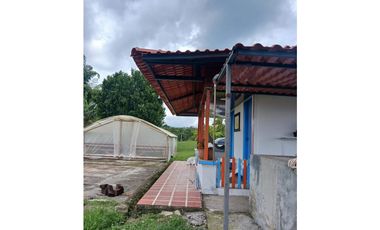 FINCA CAFETERA