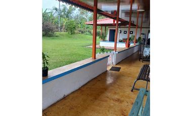 FINCA CAFETERA