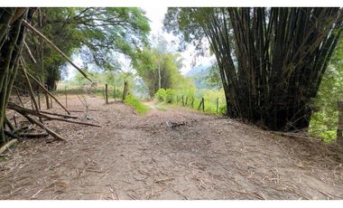 Venta de Lote en Minca, Santa Marta, Ideal para Proyecto Ecológico